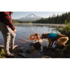 Ruffwear Hydro Plane™ Spielzeug M Orange -Trixie Verkäufe 006b8682fcf44b40a786d55bd2f1d1cf7f91a7a7 1364300 de DE b9c71d828876a94633bfda1055d03e137f81043ehPprdP