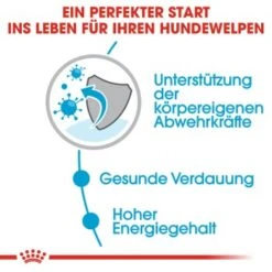 ROYAL CANIN Mini Puppy 12x85g -Trixie Verkäufe 0139aa756ebbdb17303bb24d05f22551b5717639 43c28f850f95a929626cad956e56a118b365a753