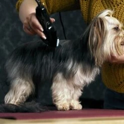 Moser Schermaschine Typ 1400 -Trixie Verkäufe 02df9a45ad10057f7cdfbb122412b44ddb24fd91 7c7f90f149fd71377858189c53a8f5cca4170f60