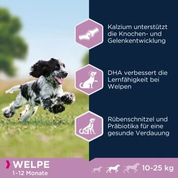 EUKANUBA Puppy Medium Breed Chicken 15 Kg 2 EUKANUBA Puppy Medium Breed Chicken 15 Kg – Bild 2