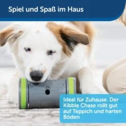 PetSafe Selbstbewegendes Belohnungsspielzeug Kibble Chase -Trixie Verkäufe 04ee16df08a1d0058720c3c24edae0b380a4f40b 1418726 de DE 98f77b1c14ebd5f386fc2520d6b8f5d2f621874avKV76L