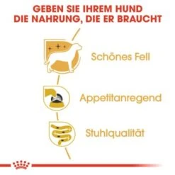 ROYAL CANIN Yorkshire Terrier Adult Mousse 12x85g 9 ROYAL CANIN Yorkshire Terrier Adult Mousse 12x85g -Trixie Verkäufe 054ec85744f29bb9af1fb84fb28e4adbe5099539 1239182 de DE rc 2