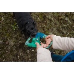 Ruffwear Pacific Ring™ Spielzeug Blau/ Türkis -Trixie Verkäufe 07365c8c03348a7be23ff66a31807695c41eac94 1444351 de DE bb2133baab48cb1d262b89fa47f175638eb3f7fcb9JpcH