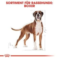 ROYAL CANIN Boxer Adult 12 Kg -Trixie Verkäufe 0a1e579b39821652565758b5ee804a79a6bf8957 9d8dd228dff8f4c8af80f6f9491d9cdf53626cb6