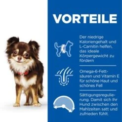Hill's Science Plan Small & Miniature Light Adult 1+, Huhn 1,5 Kg -Trixie Verkäufe 0ad20a701951844a1c2fc190e42b91d454dc7645 52742024745 4