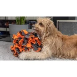 TrendPet Schnüffelball Orange -Trixie Verkäufe 0b3adcfec2519e0c6e929e0267a6c980a87babfc 1347789 de DE 4bd3ff6adcaeee7c376418b75c81fae19b8db63bwKh8XT