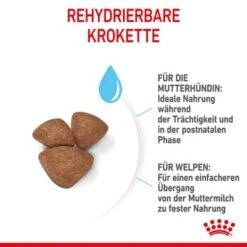 ROYAL CANIN Mini Starter 4 Kg -Trixie Verkäufe 0fda11790a7e5aba46647ddede0bb225f67516a6 2e349f3084f2f17a2ea2c0846a4c5757c02259b4