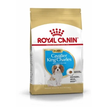 ROYAL CANIN Cavalier King Charles Puppy 1,5kg 1 ROYAL CANIN Cavalier King Charles Puppy 1,5kg