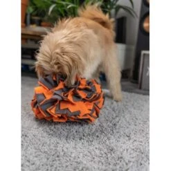 TrendPet Schnüffelball Orange -Trixie Verkäufe 150c7485ceb45f446eae94d286af034396b6b839 1347789 de DE 0d959a3cb36067968769c2d102a66fcc1f59a724hVebVb