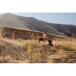 Ruffwear Hover Craft™ Spielzeug Orange -Trixie Verkäufe 15670c7f824cb67257971dca32974b68eba14a2f 1364297 de DE f53c4ca5615bcabb9ccbd712339b8f568f29402frPrk2m