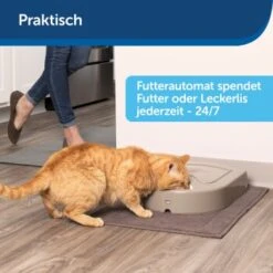 PetSafe Futterautomat Für 5 Mahlzeiten -Trixie Verkäufe 160a358bdd3d1ca1da552fb21ae467d35c7bd9b3 1176866 de DE c62181339e82867f8aa0aca62fddf3d726ac874aAdRJI6
