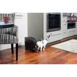 PetSafe Simply Feed Futterautomat 13 PetSafe Simply Feed Futterautomat -Trixie Verkäufe 162adf6a7738d5bf21e1a8f543a00d8bc113bc69 1239482 de DE b44f850e1b411ed2fa4a4391f952beef1a1d7530wtxP0K