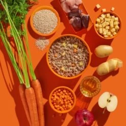 Fred & Felia FRED 10x390g Pute Mit Kartoffeln -Trixie Verkäufe 1655acad8ebb56aa0d42a817c2dd422fb43d66de 1422052 de DE b38968899d5aadb6bb2af01d15d7f083155a7458pbvP7f