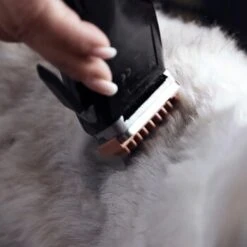 Moser Schermaschine REX 9 Moser Schermaschine REX -Trixie Verkäufe 1772a67d22493cedccf903dd1e91d7ff370d86f7 29185d9f269d8954e1525c804aae277033703d78