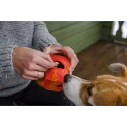 Ruffwear Gnawt-a-Rock™ Spielzeug Blau -Trixie Verkäufe 18a32f6fd206d1a1fd4df8bb6663cd33f769d9d5 1639879 de DE b243dd683d9144eaac7a8d1e460c634ef96ee8c8AtipD6