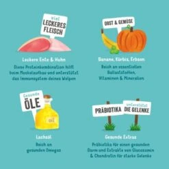 Edgard & Cooper Junior Mit Ente & Huhn 6x400g -Trixie Verkäufe 192e4d47955dc866ec2b0108c3c64927f9773eed 1343000 de DE EC Junior EnteHuhn 10