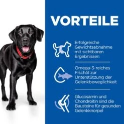 Hill's Science Plan Perfect Weight + Active Mobility Adult Large Breed Mit Huhn 12kg 12 Kg -Trixie Verkäufe 19a37cc445eb472e80fac50cb4b97632efd58bb4 52742052410 4