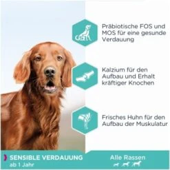 EUKANUBA Daily Care Sensible Verdauung 12 Kg -Trixie Verkäufe 1a7d954ffcf2645186347fe3a5210755c5368933 4414615294b74dc58e6a1119f8cd6be9a67be173
