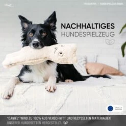 Freudentier Nachhaltiges Hundespielzeug Daniel -Trixie Verkäufe 1d76f528eae39671e4d1834457219c343008a2d3 1408970 de DE eaef6ecd52d3d4c991411f4325e77d342eb1ce7eIH205L