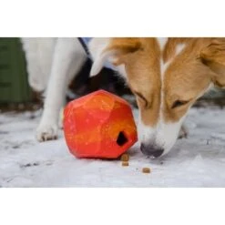 Ruffwear Gnawt-a-Rock™ Spielzeug Blau -Trixie Verkäufe 1df4ce0c3e2b13b9dde849014a9b4637ff5fbf94 1639879 de DE 625c8d7bd239fd4e64b055b3b2574c1b5400a391xF45nb