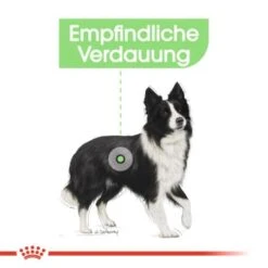 ROYAL CANIN Digestive Care Medium 12 Kg -Trixie Verkäufe 1e02a6b838f0788c7a008149b787240ab36ed38b 1376251 de DE uahs 4