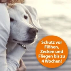 Ardap Flohspray Zur Anwendung Am Tier 250ml -Trixie Verkäufe 1e38b7747570a91b3fd009f3974005664ac2d015 1227735 de DE 3ce23e78efb3686272f02c09e5ca6ade74ba7902gmBWUo