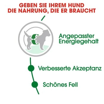 ROYAL CANIN Mini Adult 8 Kg 4 ROYAL CANIN Mini Adult 8 Kg – Bild 4