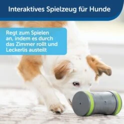 PetSafe Selbstbewegendes Belohnungsspielzeug Kibble Chase -Trixie Verkäufe 232030f86f814de36b46e922b9019b2a80aa0a4a 1418726 de DE cabfebb8ef64f9f8a7009d6c5080cb046558ff00b0jRo2