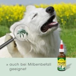 CdVet Ohrenpflege 20ml -Trixie Verkäufe 2386a46bf75eb25a2a58bb81c9cd714b7c11735b 1033310 de DE 913b3fb28cb4c7cbb549b216ae11f3b04ff5ee25egJatt
