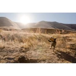 Ruffwear Hover Craft™ Spielzeug Orange -Trixie Verkäufe 23f3ce0fb188e4f5a253007adc90481d6747961b 1364297 de DE e44fe3627eb338195cfdd7c589598a8edb05def2xpzXS1