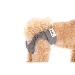 Lills Läufigkeitshöschen "Lou" Pink Berry Grau XXL 7 Lills Läufigkeitshöschen "Lou" Pink Berry Grau XXL -Trixie Verkäufe 2510182477e0473189522ab4c4eec9318a5ab186 1662393 de DE e81483ca839e45ba2b9fb54d71ddd02dbfa55b06LbZw0y