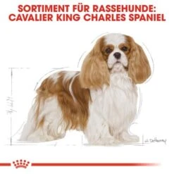 ROYAL CANIN Cavalier King Charles Adult 7,5 Kg -Trixie Verkäufe 26fb77fb49f43fdcbfc1f441b42c060f542e62b2 4d6adb9557821847a7bf764c6cfa7a53274b4578