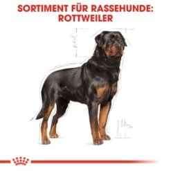 ROYAL CANIN Rottweiler Adult 12 Kg -Trixie Verkäufe 27a592969044fc1357f9676b2410de1aba1b1a6b cf9ef56478622babade804abe809db95616be3e9