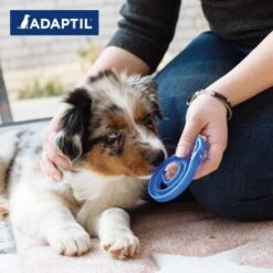 ADAPTIL Junior Halsband Anti Stress Erziehungshalsband -Trixie Verkäufe 281050210313953b97368cab0756aeb1543af3e5 1287044 2