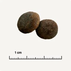 SELECT GOLD Sensitive Maxi Junior Lamm/Lachs/Kartoffel 4 Kg -Trixie Verkäufe 28af395c49e943aa9ab48faf021ceebb2dad145e 1001718003 de DE 6