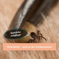 BeG Buddy Fellspray Zecke -Trixie Verkäufe 297119792bee87c54c4080010b8d6149223d300c 1457254 de DE b0426d8711049b0aafb9b17aaa93a89672536d279Kmo8x