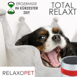 RelaxoPet PRO Entspannungs-Trainer HUND -Trixie Verkäufe 2a2890af55504b316fb288b48c33f73cd8cd6818 1315705 de DE 86a89a3dec2d79cadfd859276b25e24b347ce6a68JwiKQ