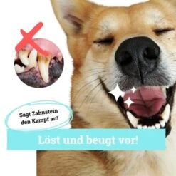 BeG Buddy Zahn Weiß Dental Spray, Zahnpflege & Maulhygiene Hund -Trixie Verkäufe 2b26d8c9897450ebcdc3208b54321074a39fd8e8 1457255 de DE d036d3de3fb2bf618dcbd8071c7342bd7ffedc2f5CGqW6