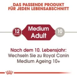 ROYAL CANIN MEDIUM Adult 10x140g -Trixie Verkäufe 2bc51ee6ce6ca6764ae5b934f9ec27fdf3d98c24 9003579008362 2