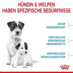ROYAL CANIN Mini Starter 4 Kg -Trixie Verkäufe 2be20ad1d190cd7998136d3afc0dafae06aa370c 8ddec2cd8cf74b57c6b4259b7b01c4e79cc0a38d