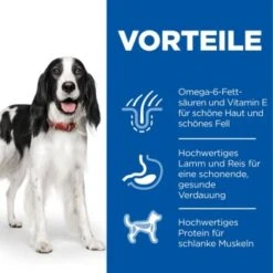 Hill's Science Plan Medium Adult 1-6 Lamm & Reis 18 Kg -Trixie Verkäufe 2eb5e8e2e65a629fb02a740e6a3d088b7c2bb774 52742025865 4