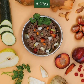 Aniforte WildForest Wild Mit Zucchini 2,4 Kg 7 Aniforte WildForest Wild Mit Zucchini 2,4 Kg – Bild 7