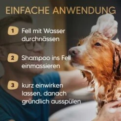 Pawlie's Hundeshampoo Für Langhaar -Trixie Verkäufe 31fb70412552456c4a02729fa462588fcf0d4e5b 1626203 de DE 25d5ddf898b492fba858f49f2f6f7a8a36500b93qNDG8c