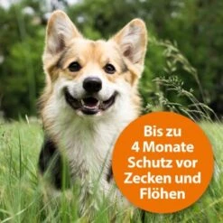Ardap Zecken- & Floh-Halsband Für Hunde M -Trixie Verkäufe 332a6969297a8d179e0515a1ef99e573ef0595ec 1221081 de DE 97ec993093b270e73fcc9e119afd15179c371c32egMWJe