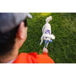 Ruffwear Gourdo™ Spielzeug S Grün -Trixie Verkäufe 340d5a3cda4bb7c7215d03f2d69aea1fb532027d 1639795 de DE dcb292407c796db89093f35e704145b6700aa2deFjWC0G