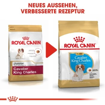 ROYAL CANIN Cavalier King Charles Puppy 1,5kg 4 ROYAL CANIN Cavalier King Charles Puppy 1,5kg – Bild 4