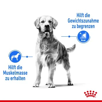 ROYAL CANIN Light Weight Care Maxi 12 Kg 8 ROYAL CANIN Light Weight Care Maxi 12 Kg – Bild 8