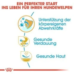 ROYAL CANIN Französische Bulldogge Puppy 10 Kg -Trixie Verkäufe 34ed88d56e0be1cc0a286c4ecd66a1af31d1100e 2bf488555545c9acb1d0d947f06389b7a3324357