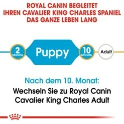 ROYAL CANIN Cavalier King Charles Puppy 1,5kg 14 ROYAL CANIN Cavalier King Charles Puppy 1,5kg -Trixie Verkäufe 351d8967b79c2aa3220f439f5defd257f044c875 ae6b47d46558763e00a21f55c8e88bb0aea3a17d