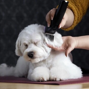 Moser Schermaschine Arco Pro 7 Moser Schermaschine Arco Pro – Bild 7